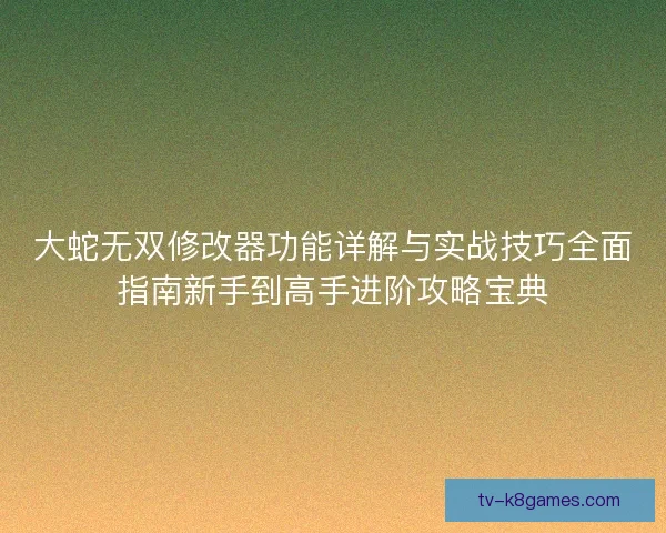 大蛇无双修改器功能详解与实战技巧全面指南新手到高手进阶攻略宝典